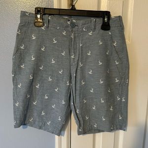 Express Men’s Shorts